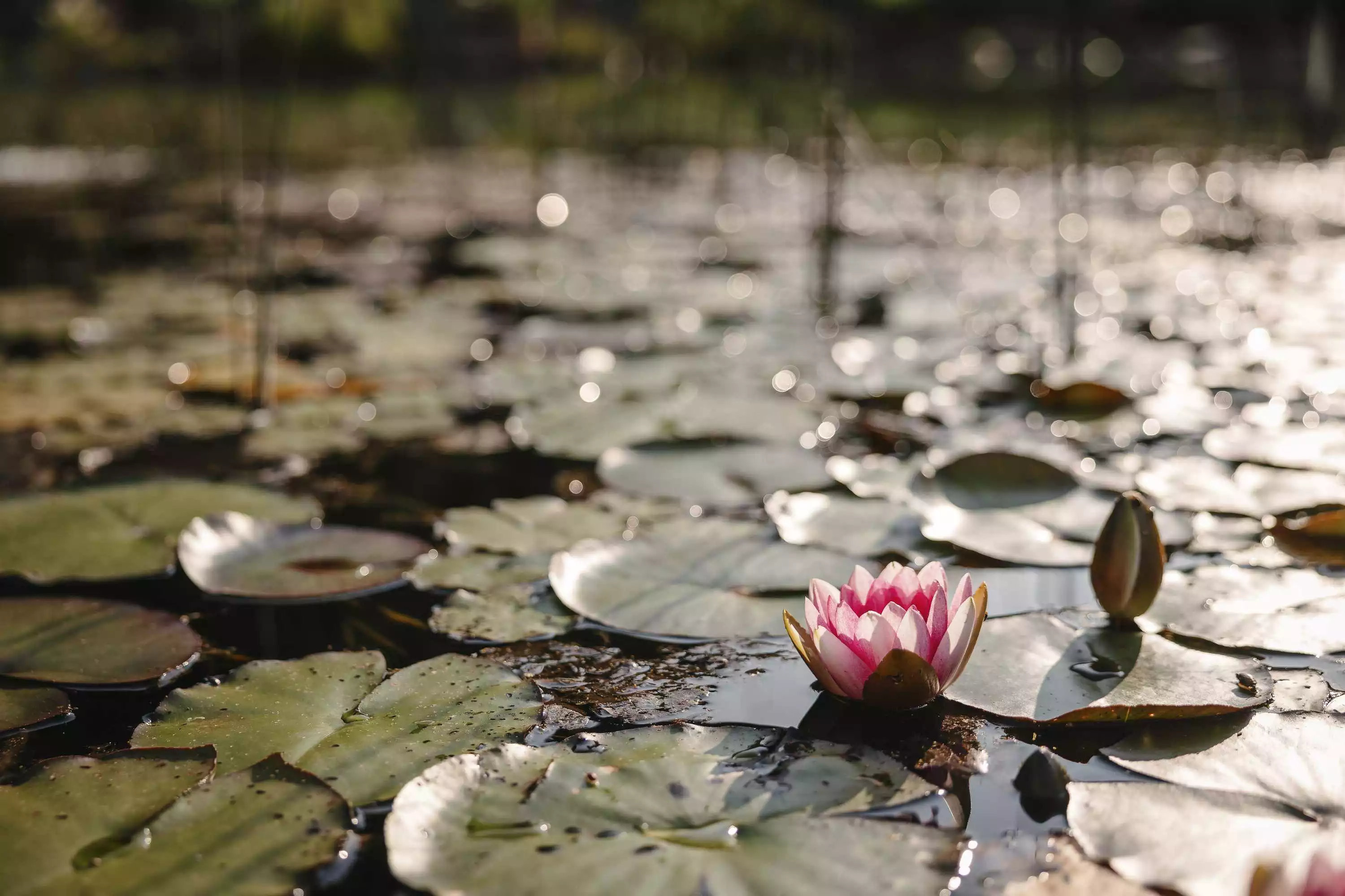 Hotel Vitalquelle Montafon