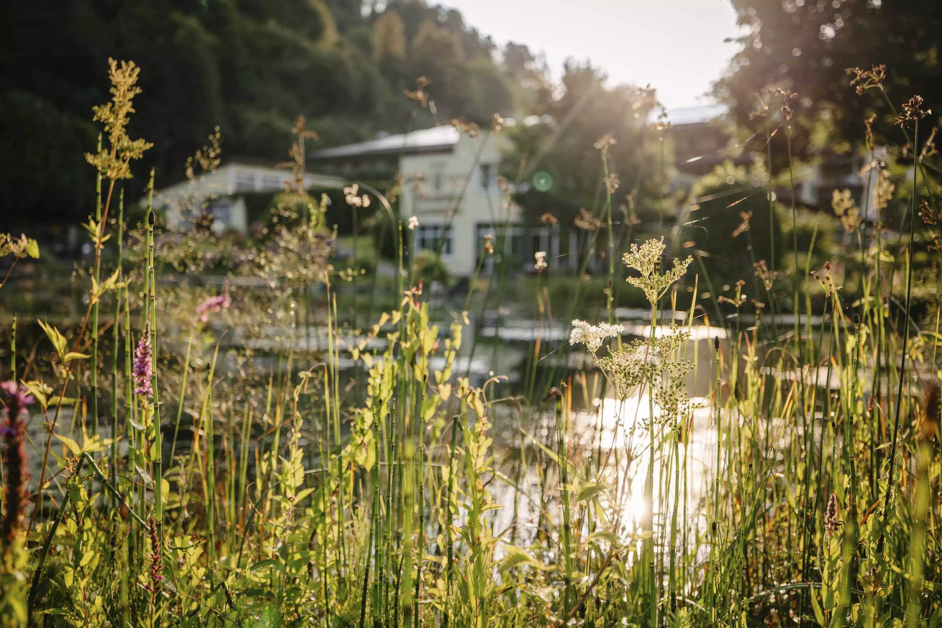 Included Services at the Vitalquelle Montafon – Overview